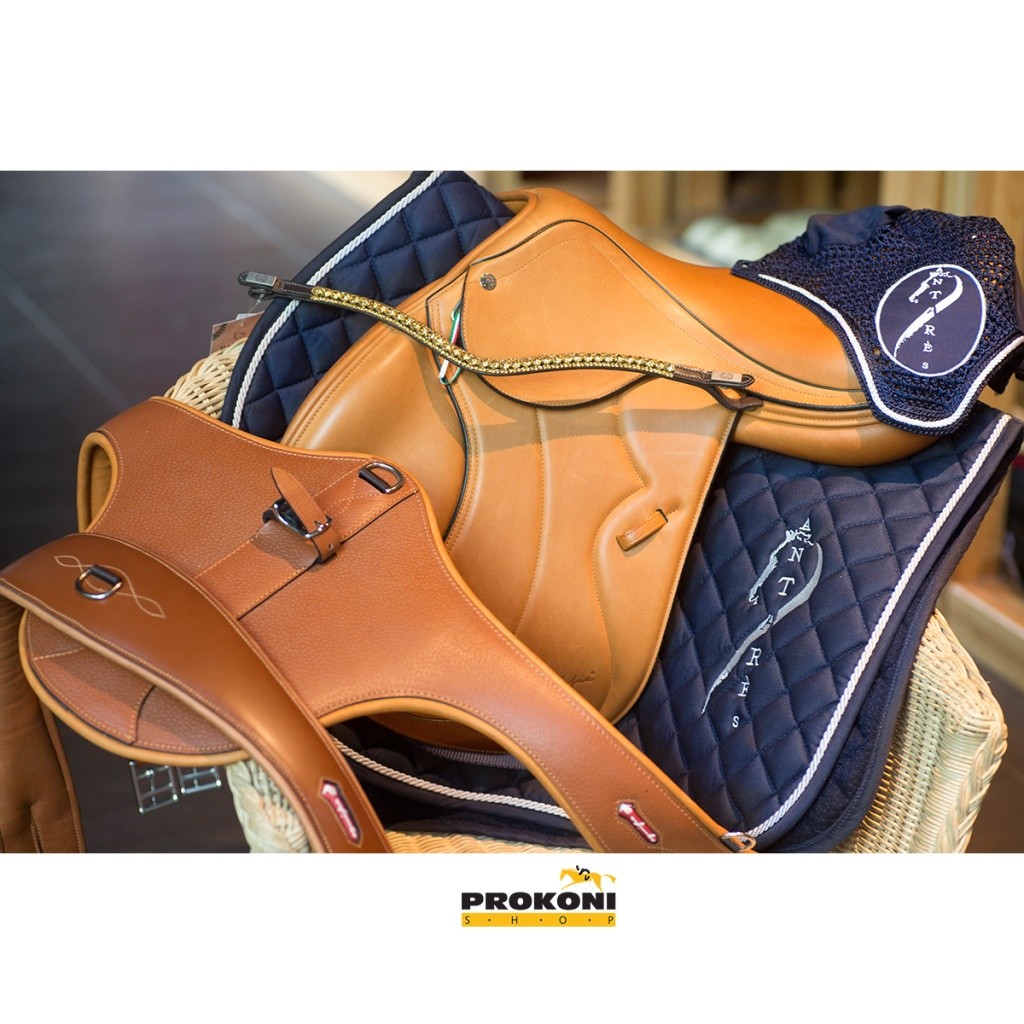 IMG_6555_1.jpg IMG_6555_1.jpg