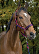 Недоуздок с чумбуром "SATIN” Недоуздок с чумбуром "SATIN”