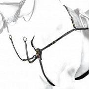 Подперсье с мартингалом Equipe Подперсье с мартингалом Equipe