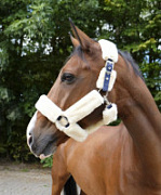 Недоуздок меховой EQUITHEME "Teddy" Недоуздок меховой EQUITHEME "Teddy"