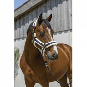 Недоуздок с мехом NORTON "Cosy" Недоуздок с мехом NORTON "Cosy"