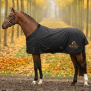 Попона хлопковая денниковая SHEIKH Попона хлопковая денниковая SHEIKH